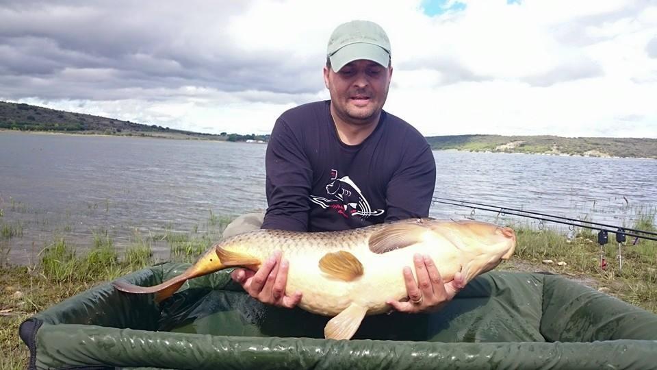 crap salbatic aprilie 2015 - 111647955451377956257406692666092105325429n.jpg